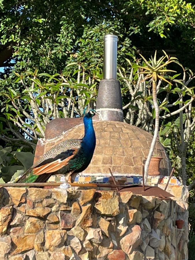 Moonriver Cottage, Prime Lagoon Views & Solar Power Knysna Exterior foto
